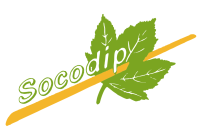 SOCODIP