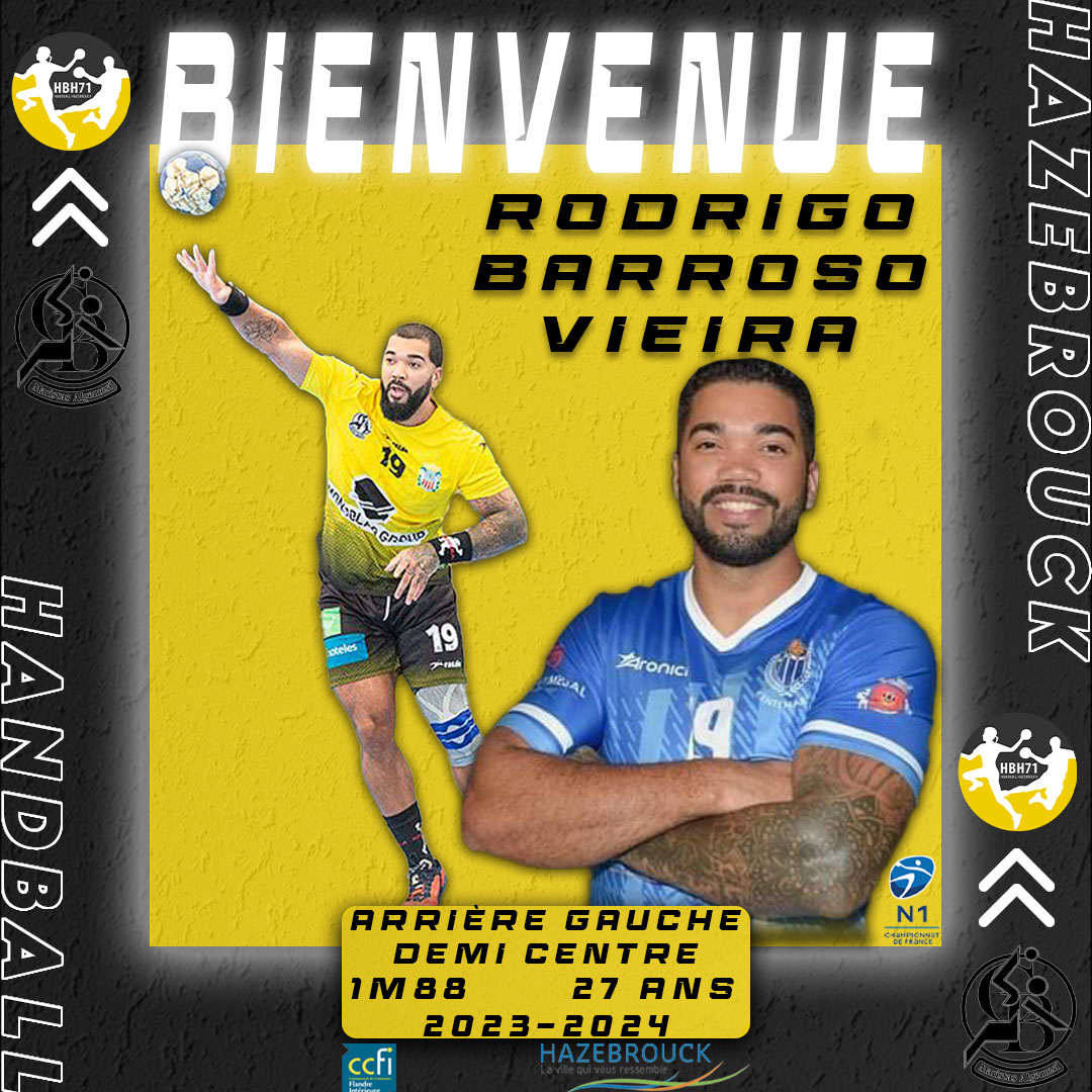 Rodrigo Vieira copie